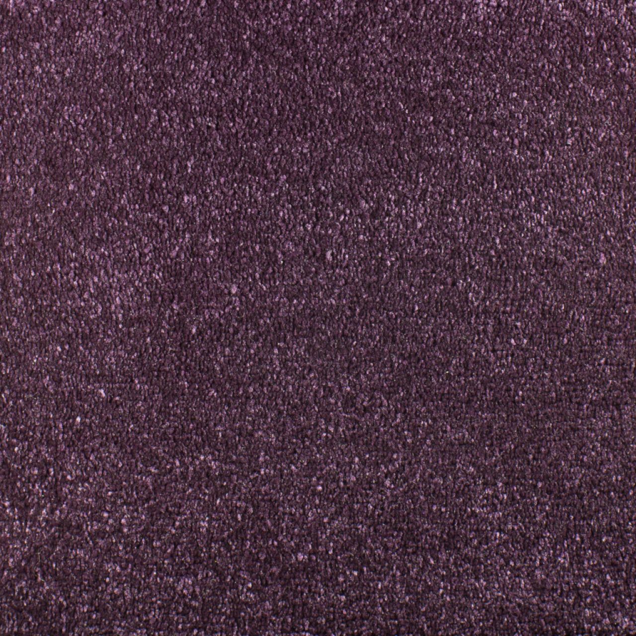 Purple Carpet Tapi Carpets & Flooring